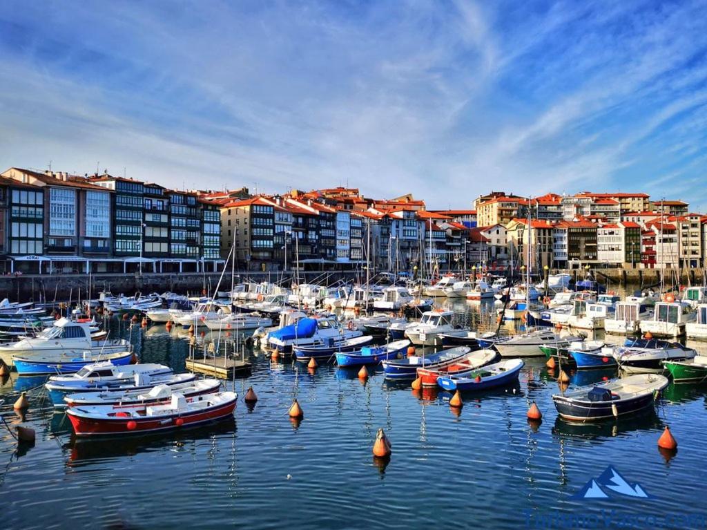 Coqueto Apartamento En El Casco Viejo Лекейтио Экстерьер фото
